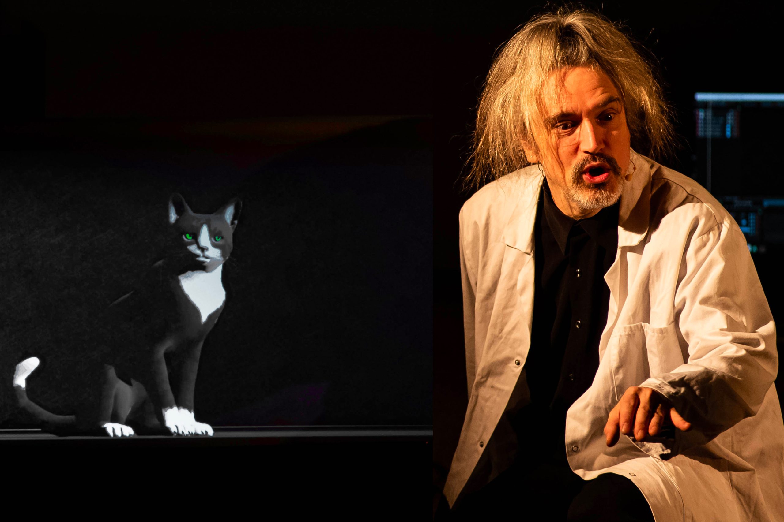 CHATOUILLE PHOTO PRESS CERDIC BOIS 2