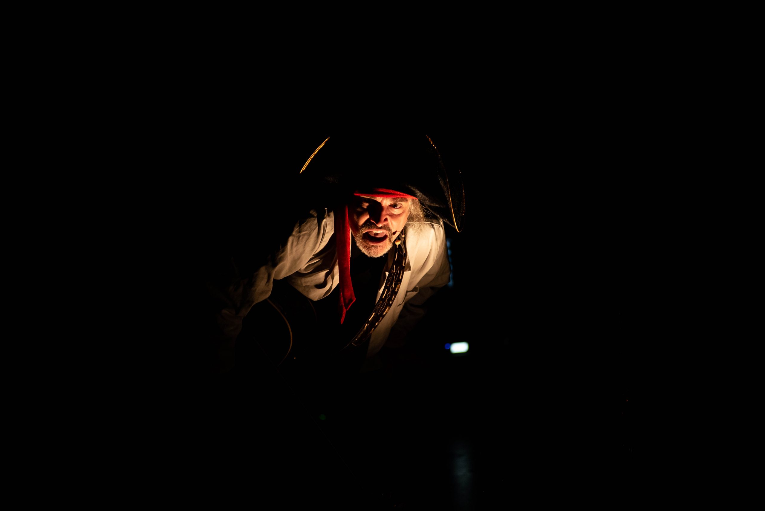 SPECTACLE CHATOUILLE